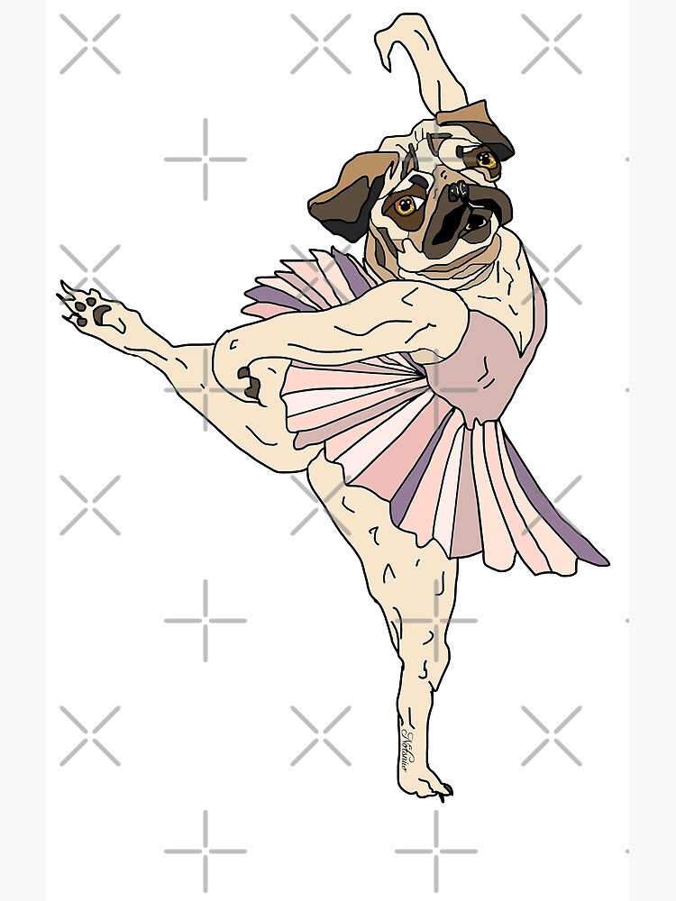 Dog Ballerina Tutu by notsniwart