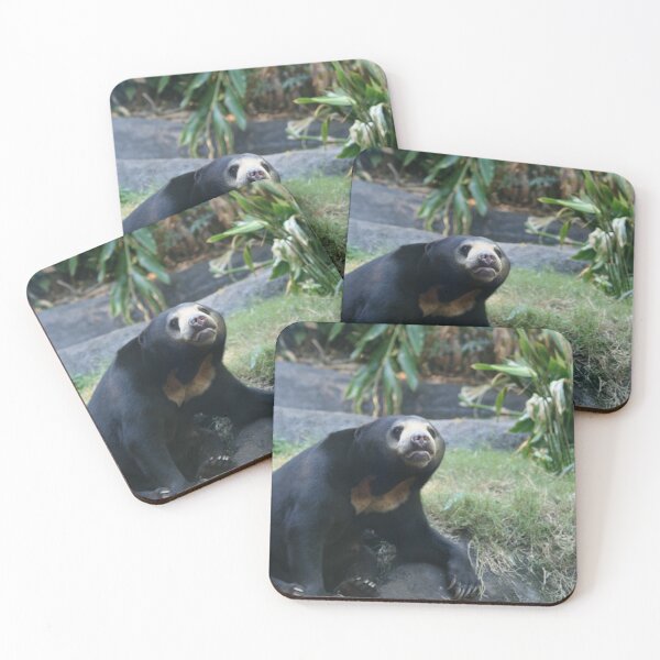 Item preview, Sun Bear designed and sold by LeanneAllen.