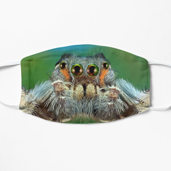Putnami male Jumping spider macro Flat Mask