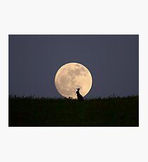 Moongazer Photographic Print