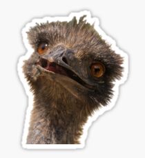 Emu Sticker