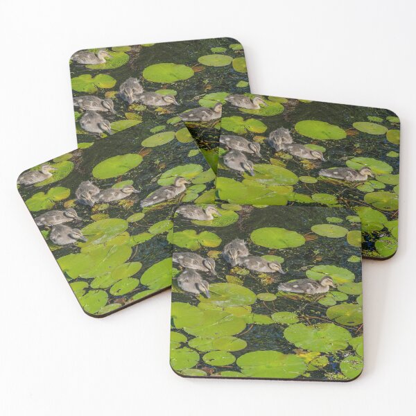 Item preview, Ducklings designed and sold by LudaNayvelt.
