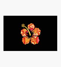 Fun Time Hibiscus Photographic Print