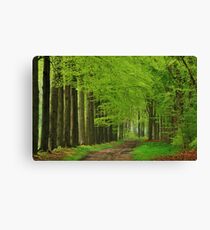 Walking through the spring forest Canvas Print
