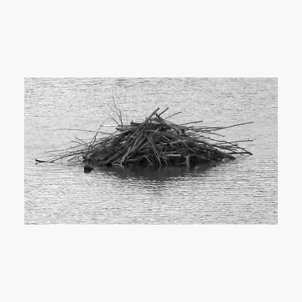 Item preview, Beaver Lodge designed and sold by Christine Ford.