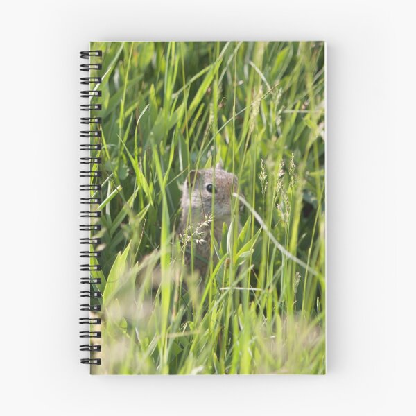 Item preview, I Spy designed and sold by Hayley Bohn.