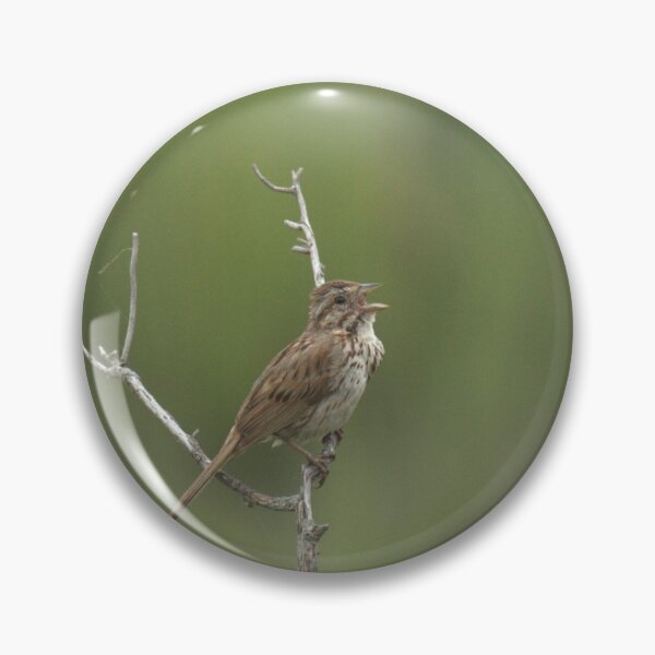 Item preview, Singing for a mate designed and sold by Mike Cicero.