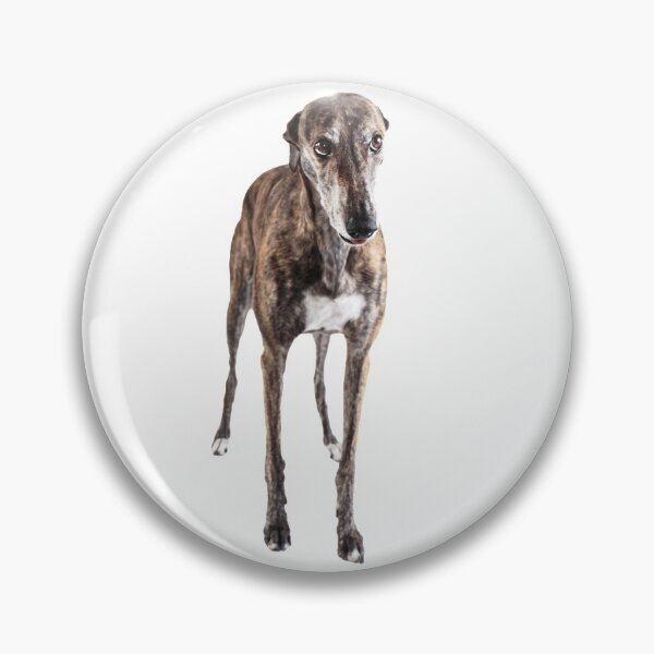 Item preview, Cute brindle greyhound designed and sold by houndpixnz.
