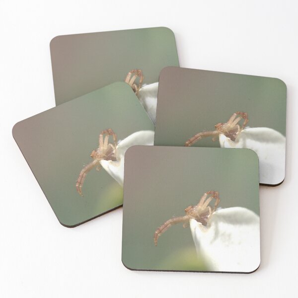 Item preview, Looking for a meal designed and sold by Mike Cicero.