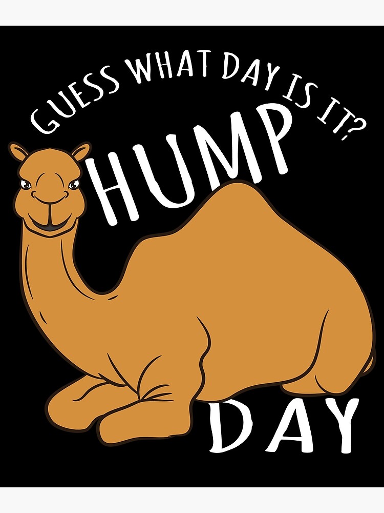 Discover Camel Design - Funny Hump Day Premium Matte Vertical Poster