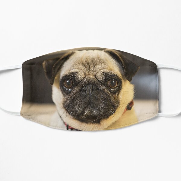 Mops Hundeliebhaber 3D Flache Maske