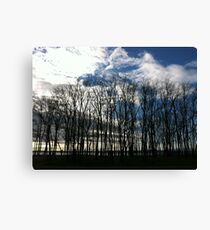 It's a small world Canvas Print