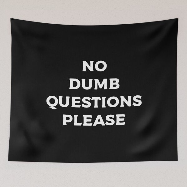 Item preview, No Dumb Questions Please designed and sold by teesaurus.