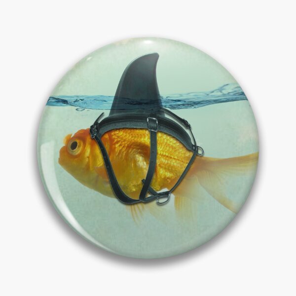 brilient disguise Pin