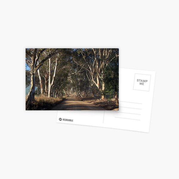 ~ Follow Me III ~ Postcard