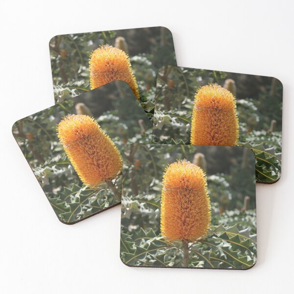 Item preview, Banksia designed and sold by LeanneAllen.