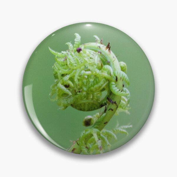 Item preview, Fiddlehead designed and sold by couragesings.