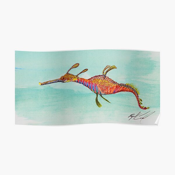Weedy Sea Dragon Poster