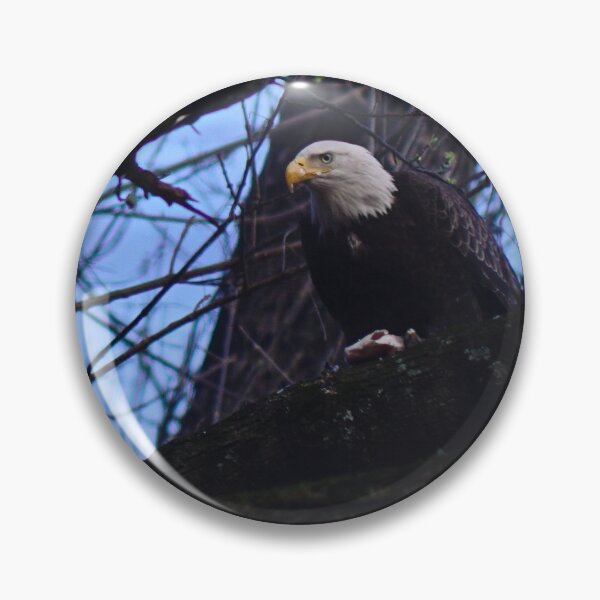Item preview, Eagle consuming Fish in tree designed and sold by CunningFoxPhoto.