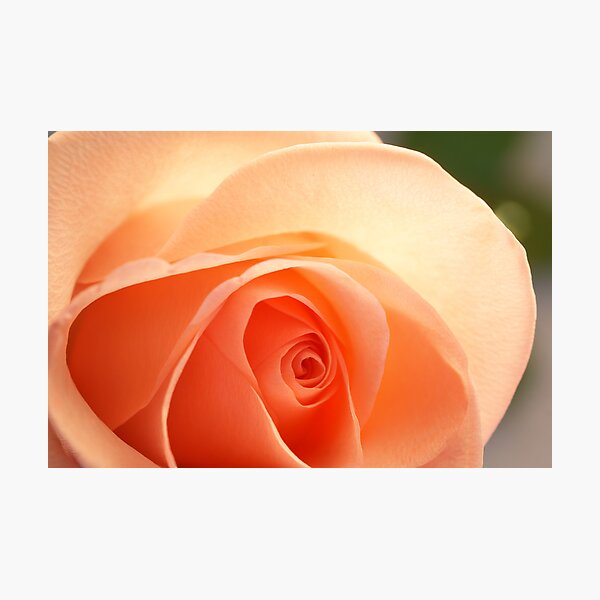 Light and romantic Photographic Print