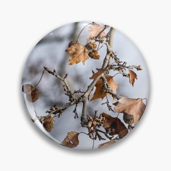 Item preview, Winter Branch designed and sold by MoreGoodArt.