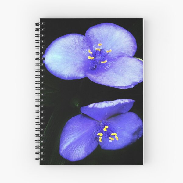 Item preview, Violets In Lock Down 04/22/20 14:44 v.2 designed and sold by Mark Polk.