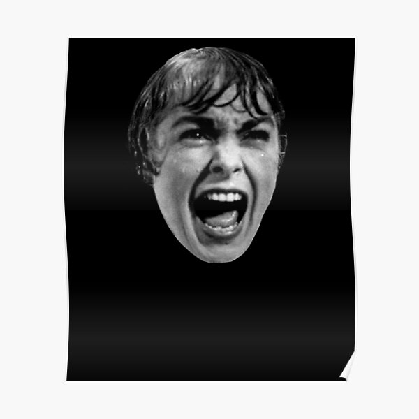Screaming Woman Shower Scene Movie Scream Lover T T Shirt Poster