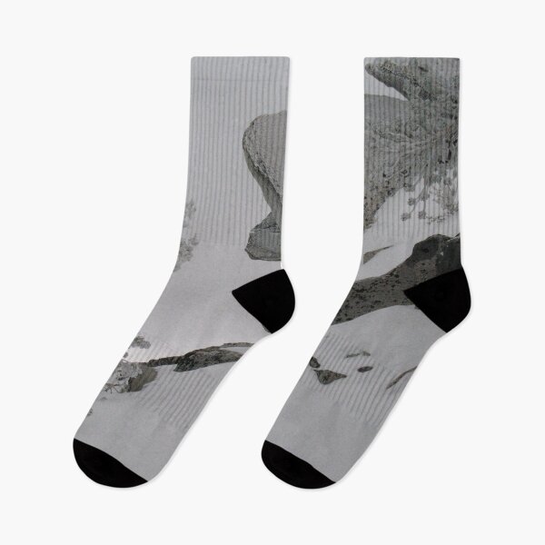Item preview, South Lake Tahoe Winter designed and sold by Photos by Michael J. Mesmer.