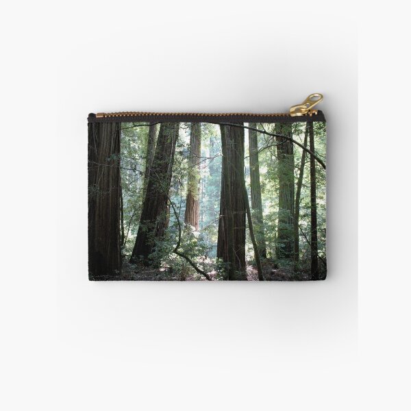 Item preview, Humboldt Cathedral designed and sold by Photos by Michael J. Mesmer.