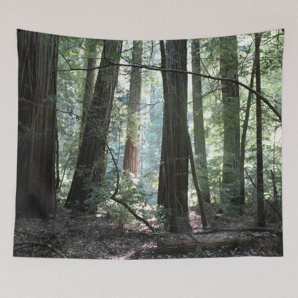 Item preview, Humboldt Cathedral designed and sold by Photos by Michael J. Mesmer.