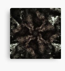 Void Canvas Print