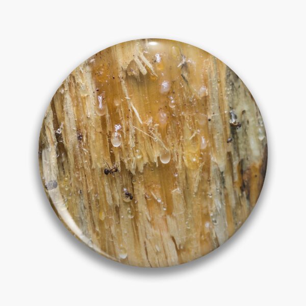 Item preview, Tree details designed and sold by Zina Stromberg.