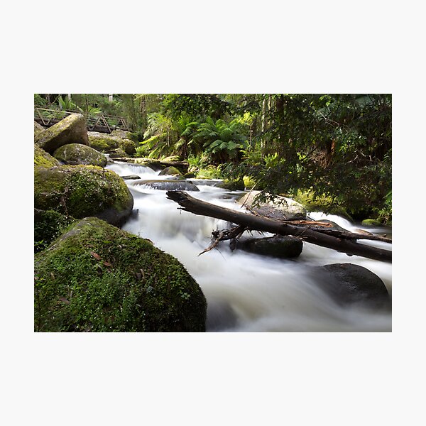 Item preview, Toorongo falls  designed and sold by peter stagg.