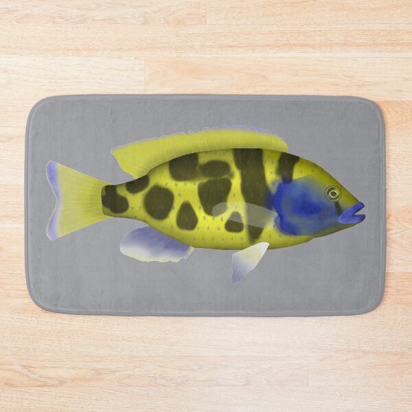Item preview, Venustus hap designed and sold by fishfolkart.