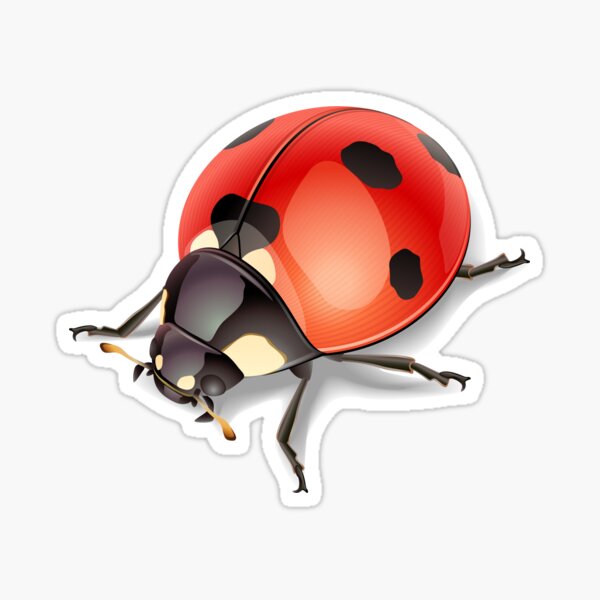 Item preview, Ladybug designed and sold by Smaragdas.