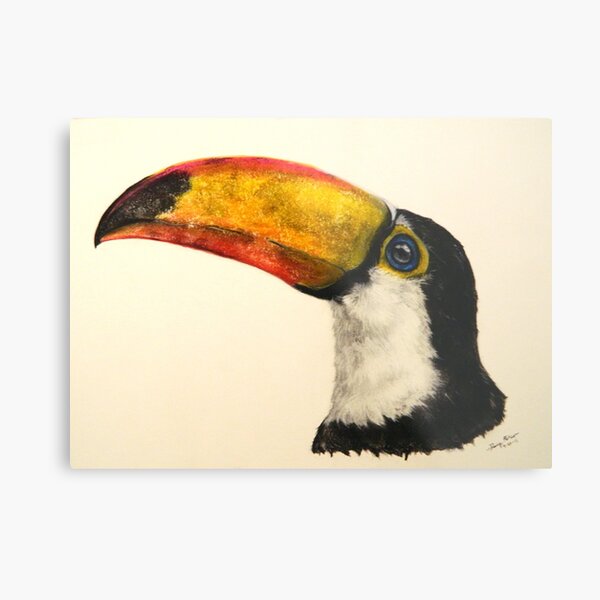 "Toco Toucan" Metal Print