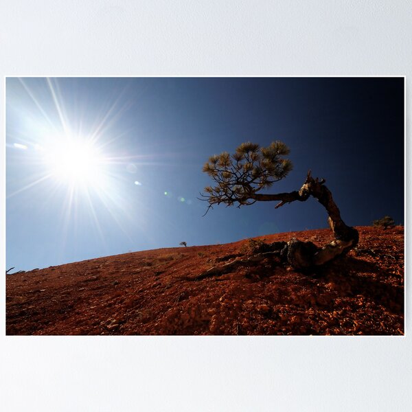 Item preview, Perseverance  designed and sold by Robert Mullner.