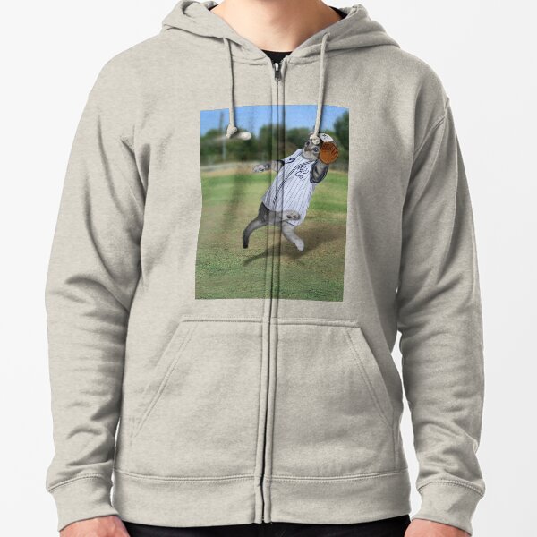 baseball catcher hoodie