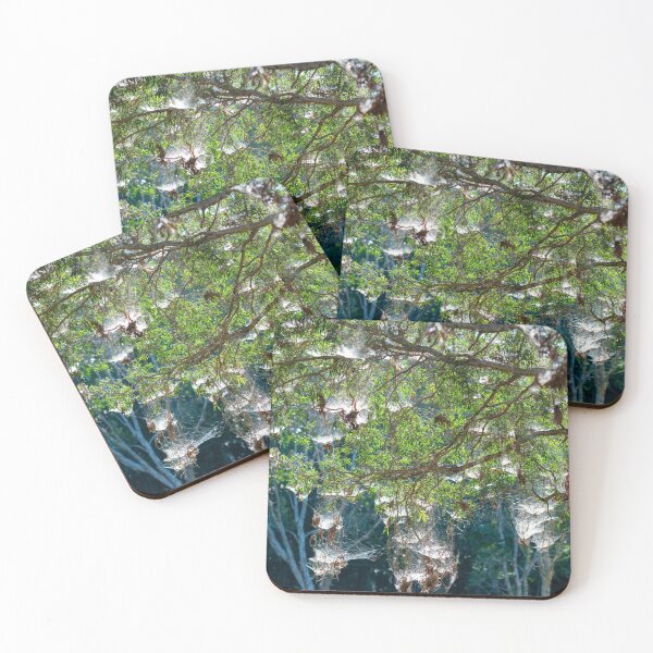 Item preview, Telarañas designed and sold by Adrian Alford Photography.