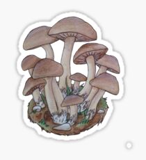 Mushroom Cluster Sticker