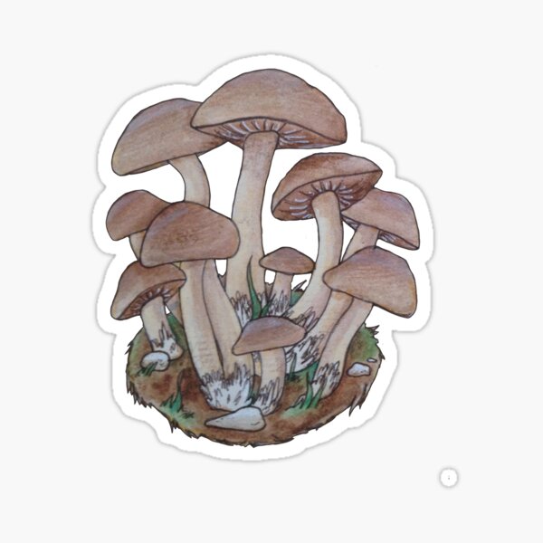 Mushroom Cluster  Sticker