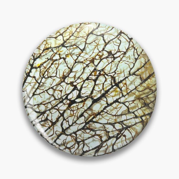 Item preview, Gifts From the Sea designed and sold by Barbara  Brown.