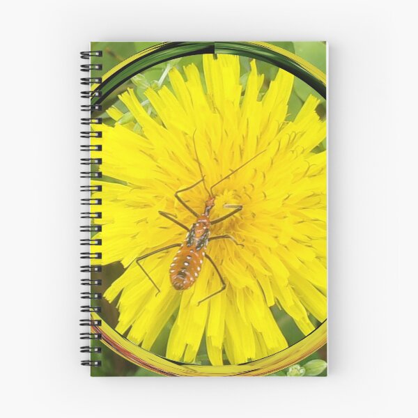 Item preview, Dandelion Host v.2 designed and sold by Mark Polk.