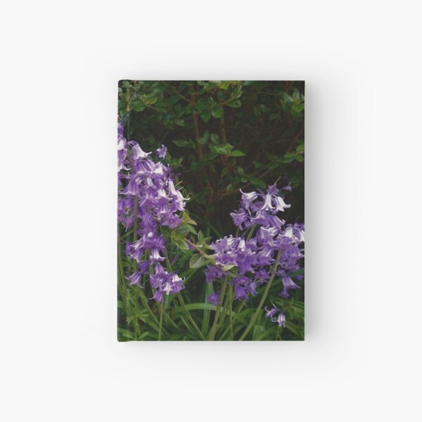 Bluebells 2 Hardcover Journal