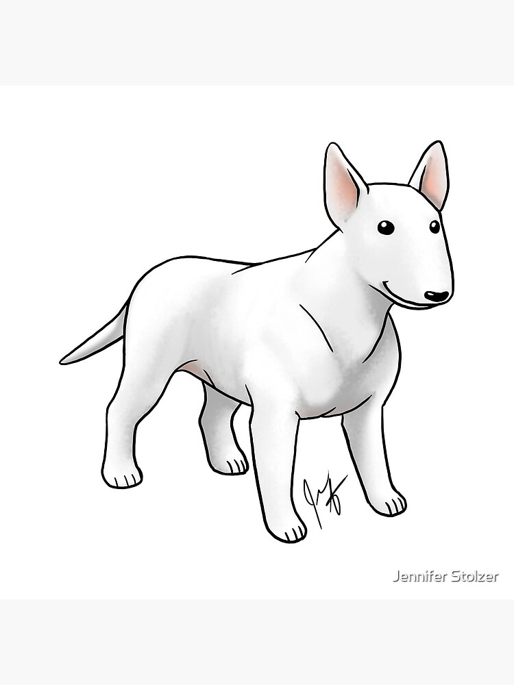Bull Terrier - White by jameson9101322