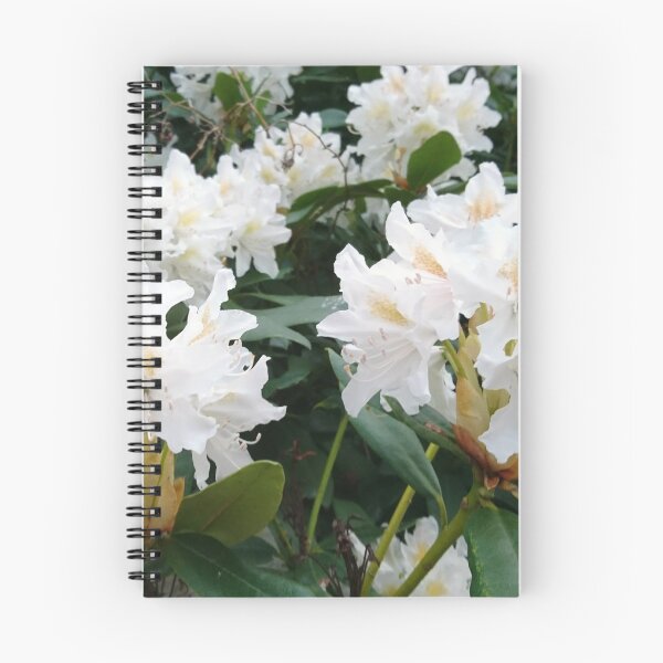 Artikelvorschau, Weißer Rhododendron entworfen und verkauft von LittleBettyMakes.