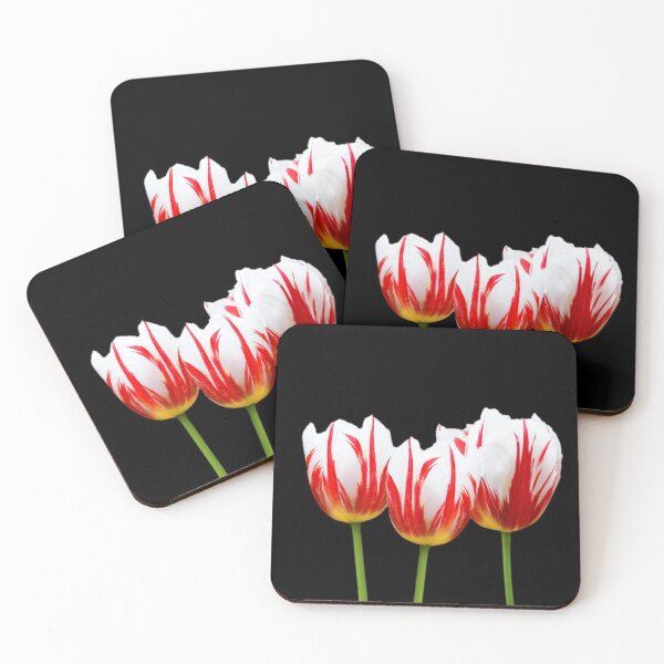 Item preview, Maple Leaf Tulips on Black designed and sold by walkswithnature.