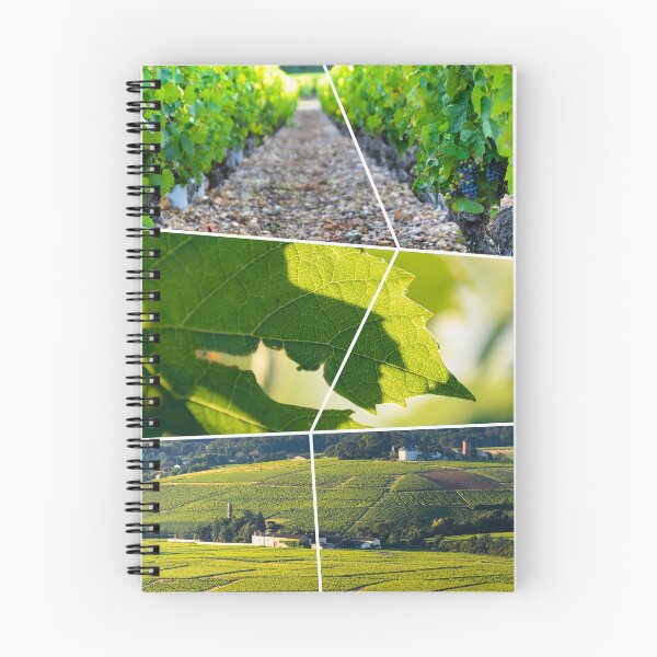 Item preview, Photo collage of vineyards and Beaujolais designed and sold by Gaël FONTAINE.