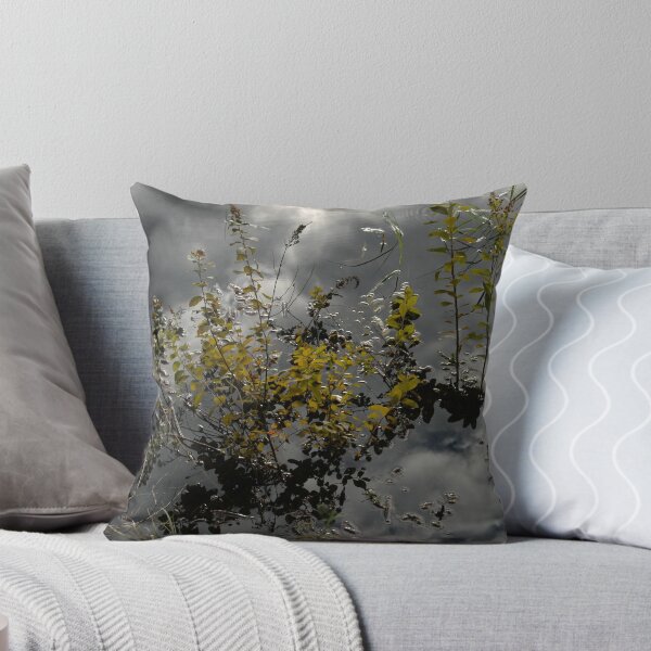 Item preview, Still Water designed and sold by michel bazinet.