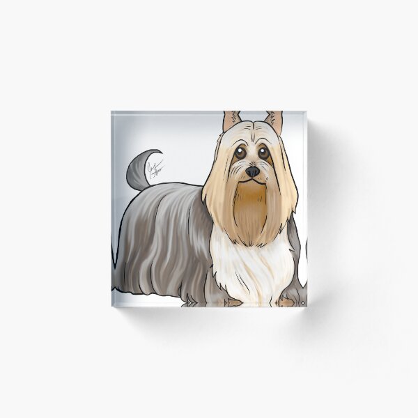 Silky Terrier Acrylic Block